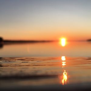 Meet your Posher, Riley